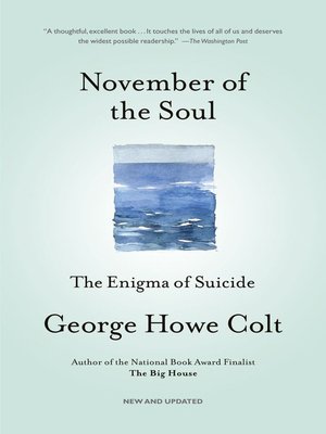 cover image of November of the Soul